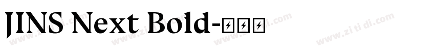 JINS Next Bold字体转换